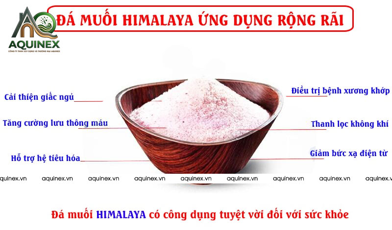 Công Ty TNHH Xây Dựng Và Thương Mại Aquinex