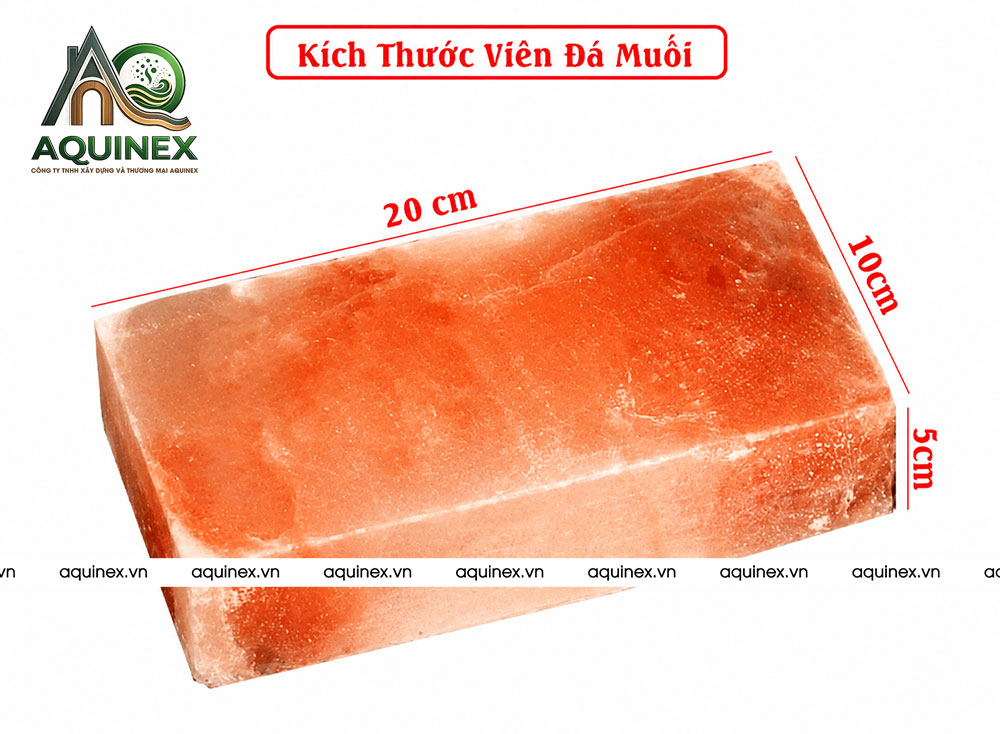Công Ty TNHH Xây Dựng Và Thương Mại Aquinex