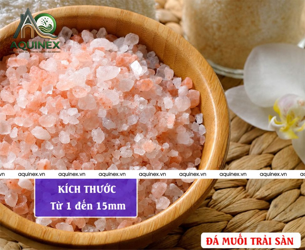 Công Ty TNHH Xây Dựng Và Thương Mại Aquinex