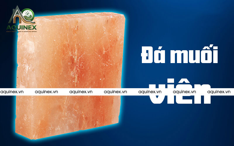 Công Ty TNHH Xây Dựng Và Thương Mại Aquinex