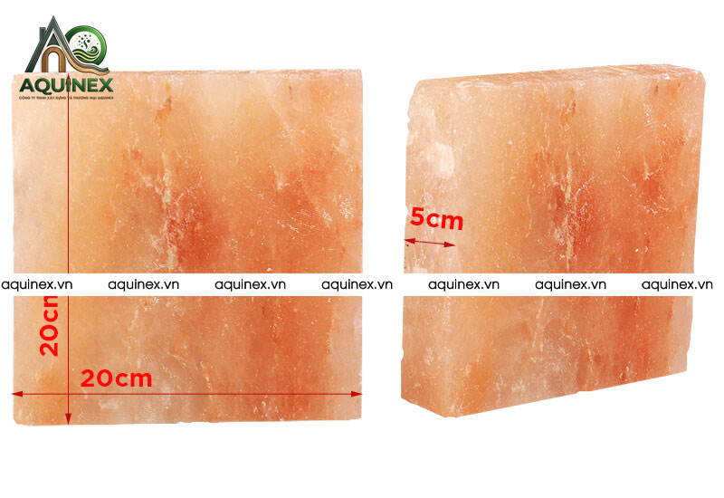 Công Ty TNHH Xây Dựng Và Thương Mại Aquinex