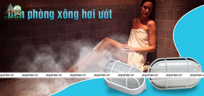 Công Ty TNHH Xây Dựng Và Thương Mại Aquinex