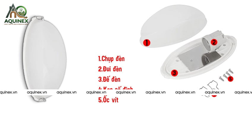 Công Ty TNHH Xây Dựng Và Thương Mại Aquinex