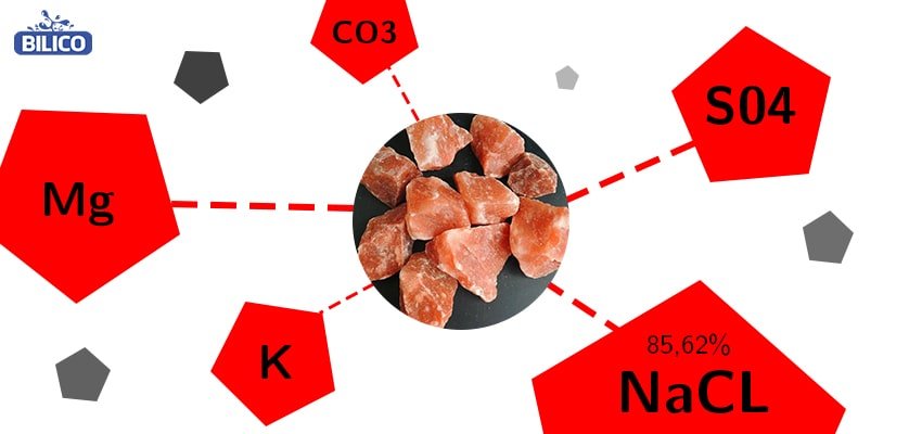 Công Ty TNHH Xây Dựng Và Thương Mại Aquinex