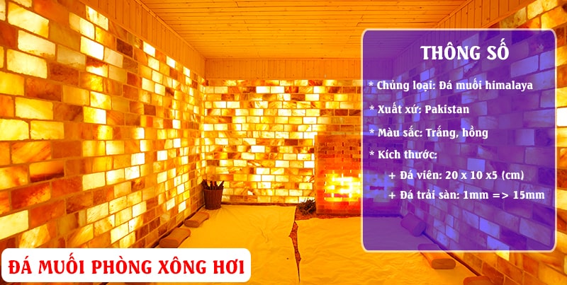 Công Ty TNHH Xây Dựng Và Thương Mại Aquinex